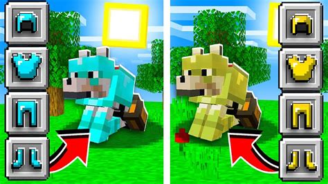 How To Get WOLF ARMOR in Minecraft! - YouTube