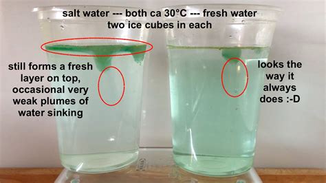 Sinking Ice Cube Experiment