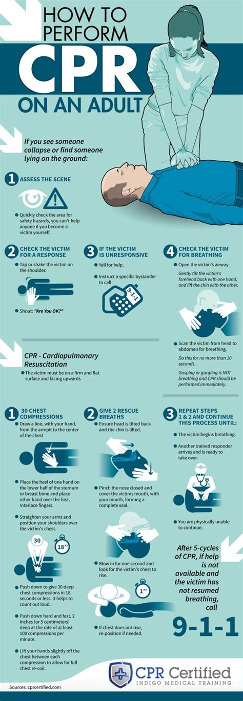 How to Perform CPR on an Adult - CPRCertified.com - Infographic ...