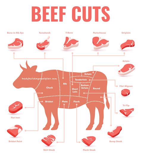 How Much Protein In 8 Oz Steak? | Nutritioneering