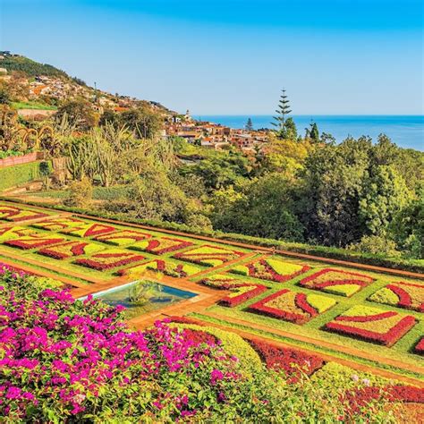 Premium Photo | Botanical garden in funchal madeira portugal