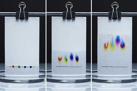 Chromatography Paper Easy Experiment at Thomas McHugh blog