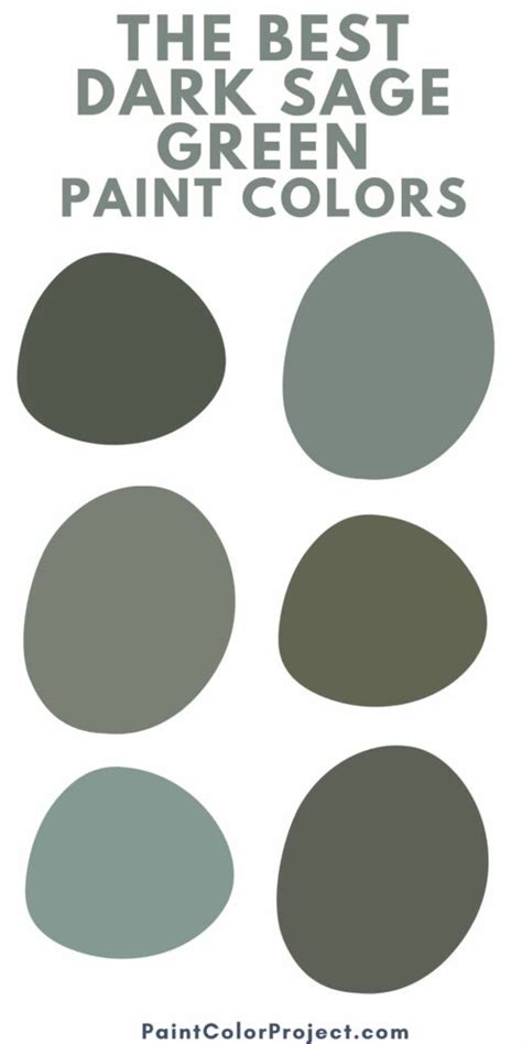 The 9 best dark sage green paint colors - The Paint Color Project