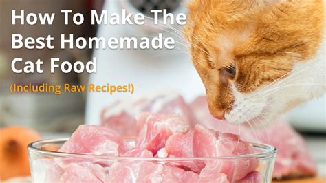 Best Homemade Cat Food Recipes | Raw or Cooked, Make Your Own!