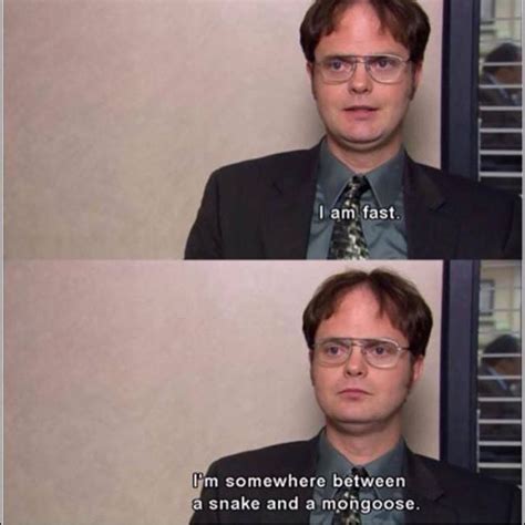 List : 25+ Best Dwight Schrute Quotes (Photos Collection) | Office ...