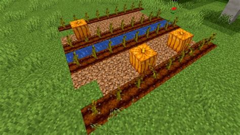 Minecraft Pumpkin Farm Layout