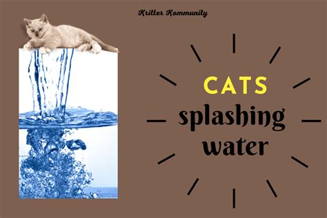 The Mysterious Behavior of Cats Playing with Water • Kritter Kommunity