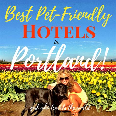 Best Pet-Friendly Hotels in Portland, Oregon - Girl Who Travels the World