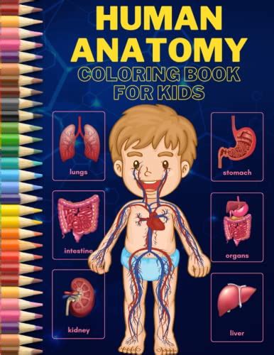 Human Anatomy Coloring Book for Kids: Human Body Anatomy Coloring Book ...