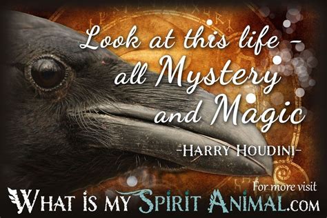 Raven Quotes & Sayings - Look at this life, all mystery and magic ...