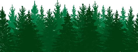 Evergreen Tree Clip Art, Vector Images & Illustrations - iStock