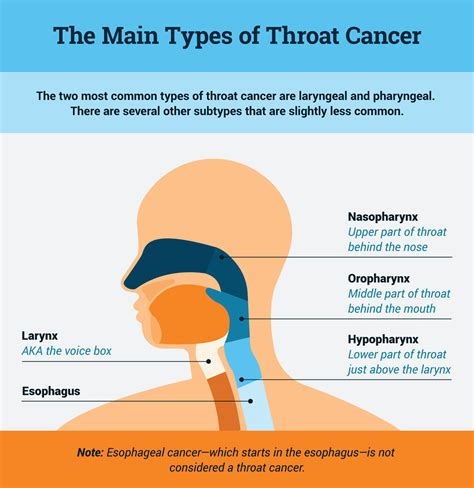 2023 Throat Cancer Statistics | Top 40 Key Facts