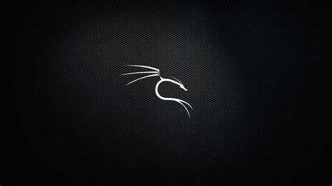 Kali Linux Wallpapers - Top Free Kali Linux Backgrounds - WallpaperAccess