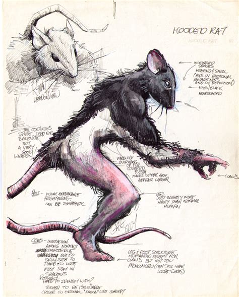 Rat man by gregjolly on DeviantArt