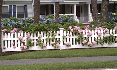 City Garden Ideas | Picket fence garden, White picket fence, Backyard ...