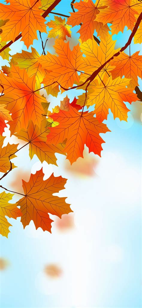 Autumn Phone Wallpaper - 060