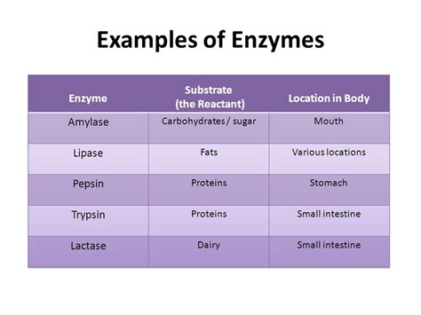 Enzymes | Definition, Classification & Functions