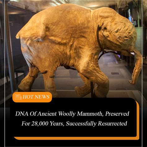 New Developments in De-Extinction Research: Successful Resurrection of ...