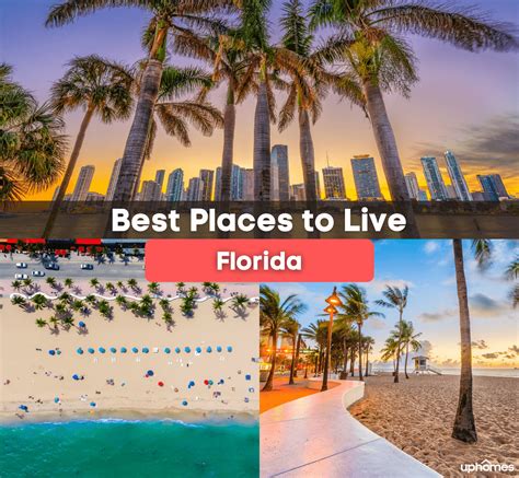 11 Best Places to Live in Florida