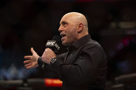 Joe Rogan Returns To Commentary For UFC 290 - Sports Illustrated MMA ...