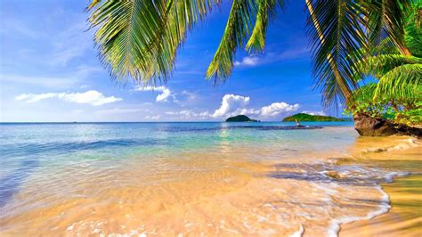 Tropical Beach Wallpaper HD #nYl | Beach wallpaper, Nature beach, Beach ...