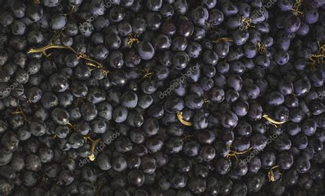 The Black Sultana grapes background — Stock Photo © gdi1980@gmail ...