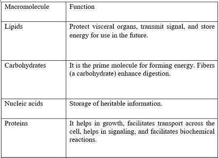 What are the functions of the different types of macromolecules ...