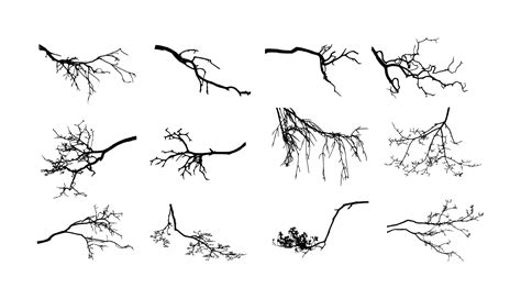 12 Tree Branch Silhouette (PNG Transparent) Vol. 3 | OnlyGFX.com