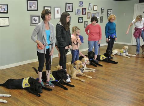 Best Eugene, OR Service Dog Training Near Me - CPT Training