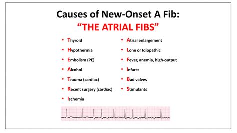 Pin on Cardiovascular