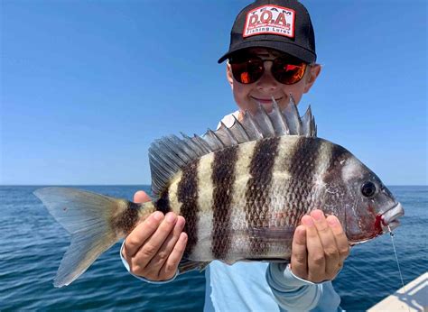 Sheepshead Fishing Charters - Carolina Guide Service