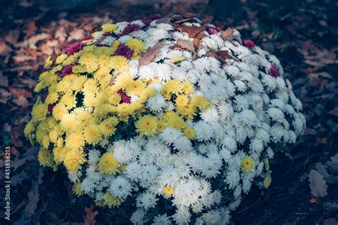 funeral concept, All Saints Day in cemetery Stock Photo | Adobe Stock