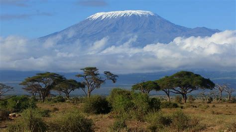 Kilimanjaro Wallpapers - Wallpaper Cave