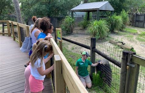 Party for the Planet at Central Florida Zoo - MyCentralFloridaFamily.com