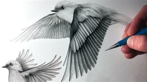 How to Draw Birds Flying - YouTube