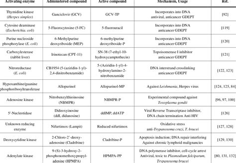 Enzymes and their Substrates for Metabolic Drug Targeting | Download Table