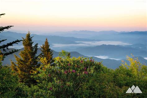 Great Smoky Mountains National Park: road trip worthy hikes - Atlanta ...