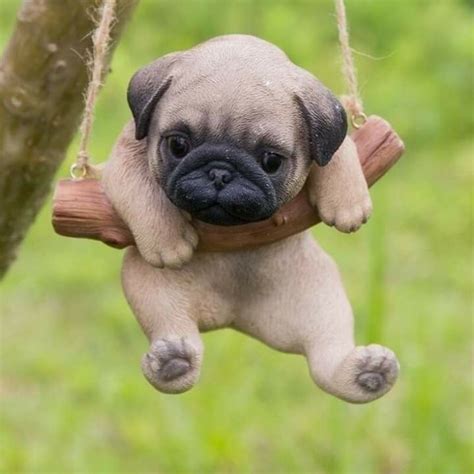 Pin by Alessandra B on Amici animali | Bulldog puppies, Pug puppy, Cute ...