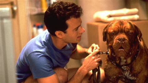 The Five Best Dog Movies