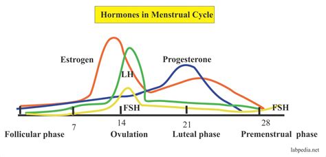 Follicle Stimulating Hormone (FSH) (Follicular Stimulating Hormone ...