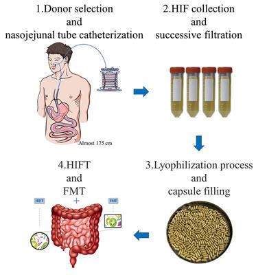 Frontiers | Fecal Microbiota and Human Intestinal Fluid Transplantation ...