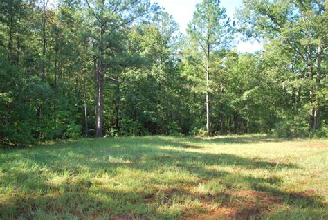 110 ACRES TALBOT COUNTY, GA - J Durham