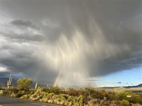 Sky Island Alliance Waiting for Monsoon Rain – Where to Track the Season