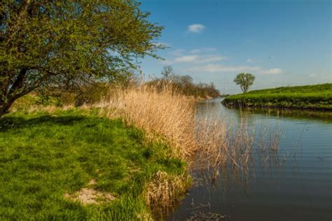 Appledore, Kent | History, Photos & Visiting Information