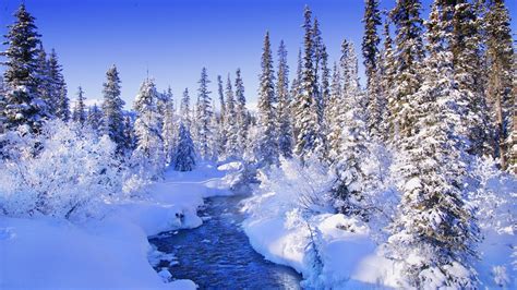 Steamy river by the snowy forest wallpaper - Nature wallpapers - #52669