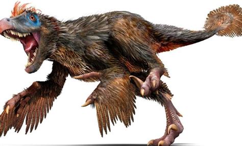 13 Valiant Facts About Velociraptors | The Fact Site