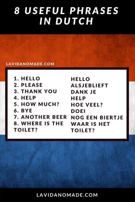 8 useful and basic phrases to know in any language