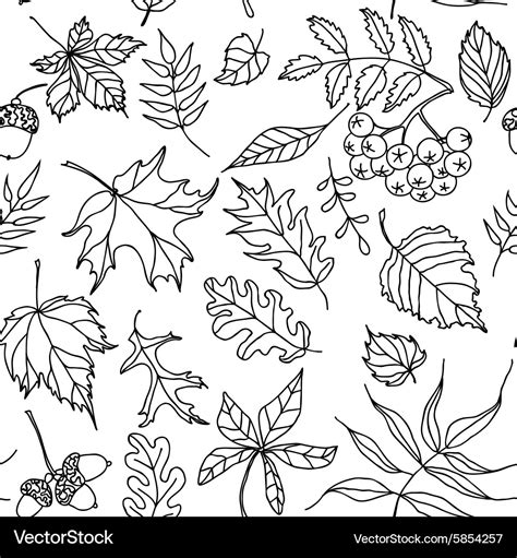 Autumn leaves seamless pattern black and white Vector Image