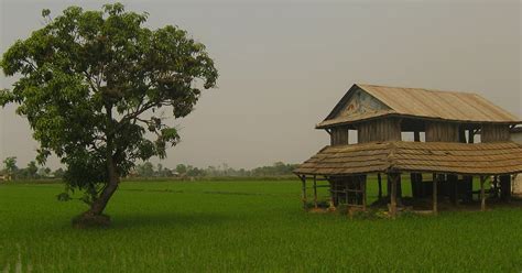 Visit Terai in a tailor-made tour | Evaneos