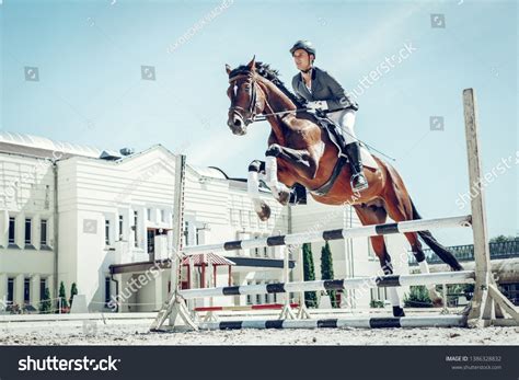 Overcoming Obstacles Beautiful Graceful Horse Jumping Stock Photo ...